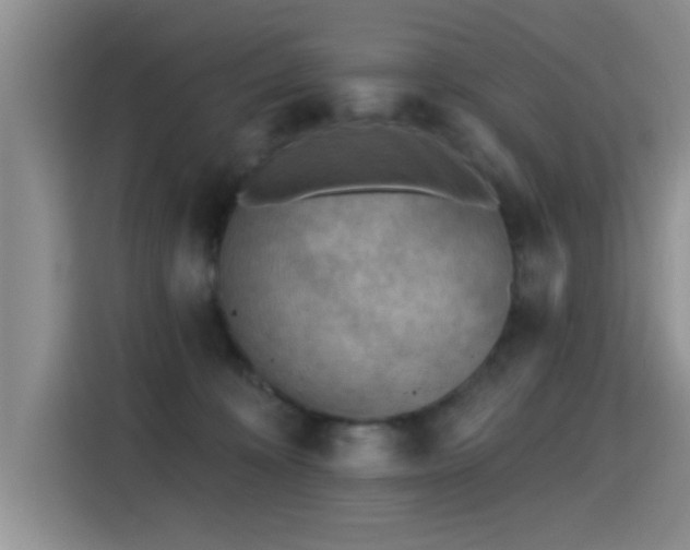 X0000115380324200911101311