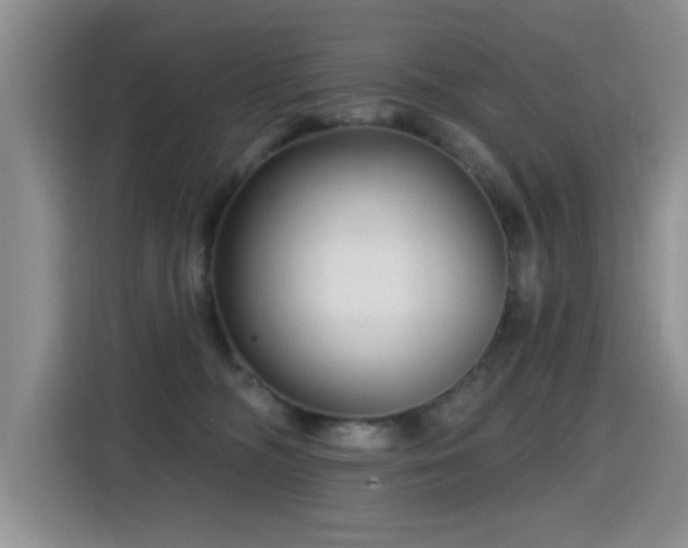 X0000115380326200911101311