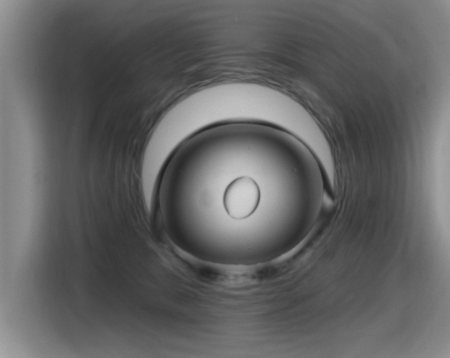 X0000115380327200911101311