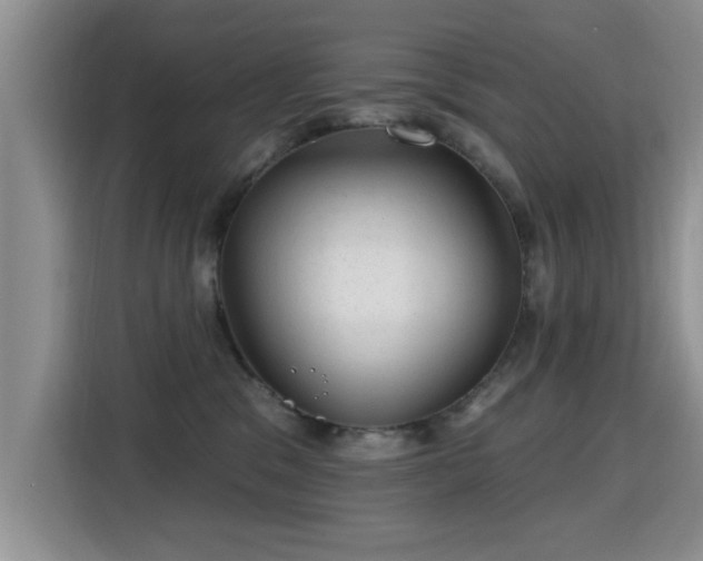 X0000115380329200911101311