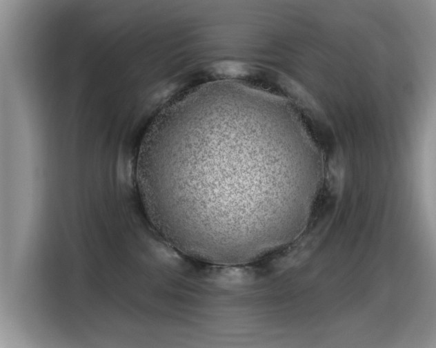 X0000115380330200911101311