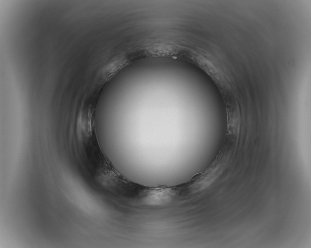 X0000115380334200911101311