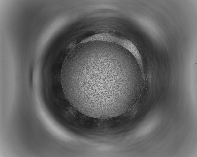 X0000115380335200911101311
