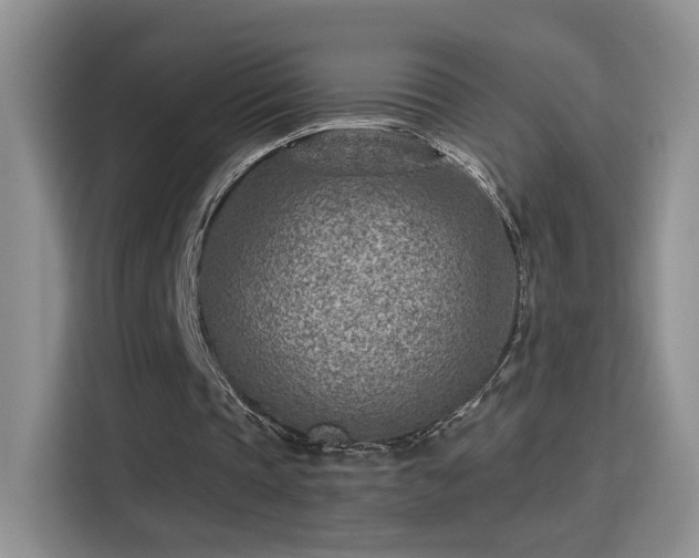 X0000115380337200911101311