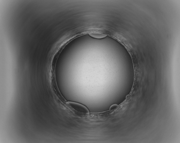 X0000115380338200911101311
