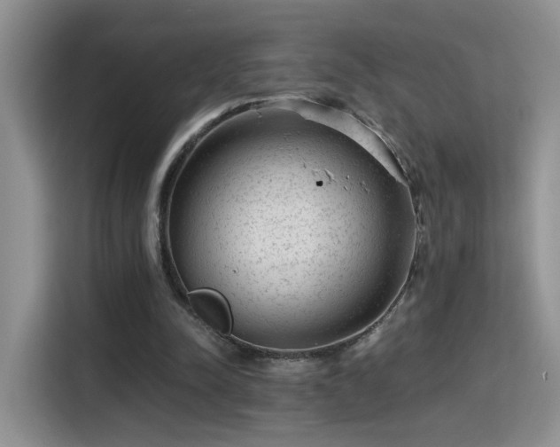 X0000115380342200911101311