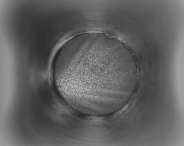 X0000115380343200911101311