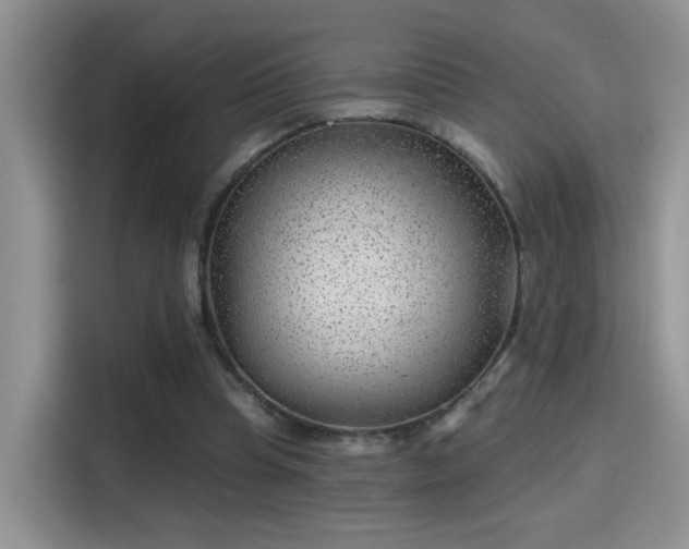 X0000115380345200911101311