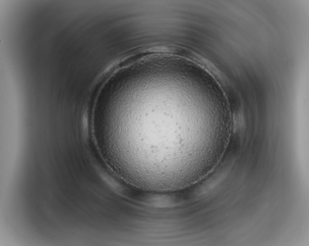 X0000115380349200911101311