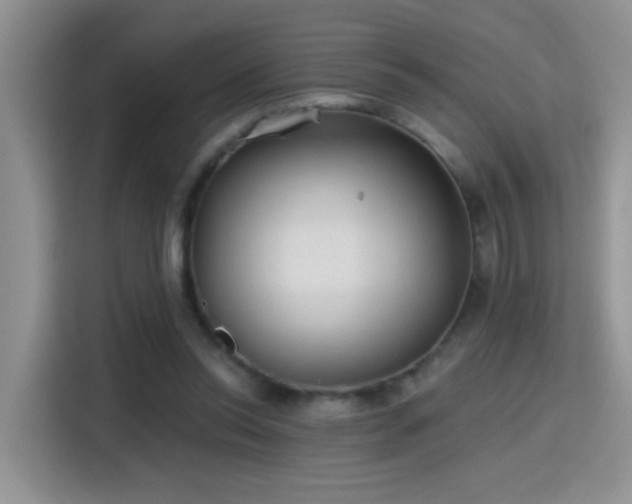 X0000115380350200911101311
