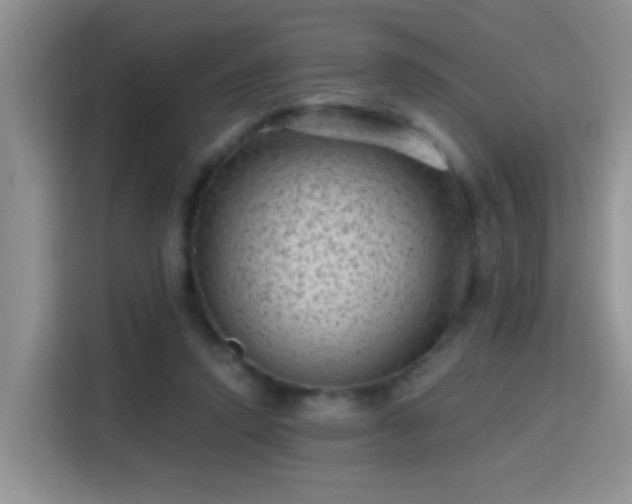 X0000115380354200911101311