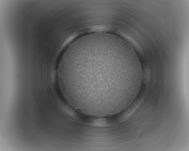 X0000115380355200911101311