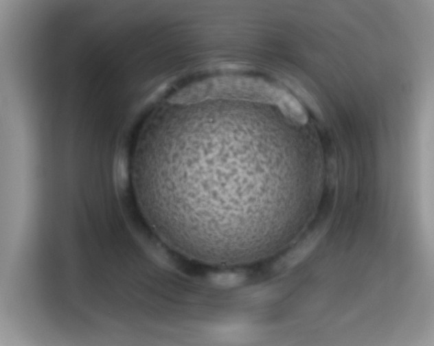X0000115380358200911101311