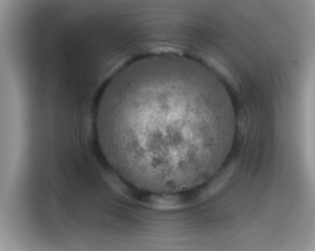 X0000115380359200911101311