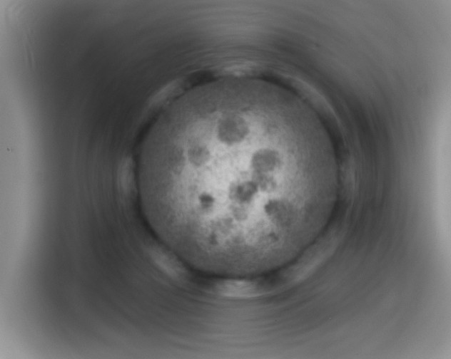 X0000115380361200911101311