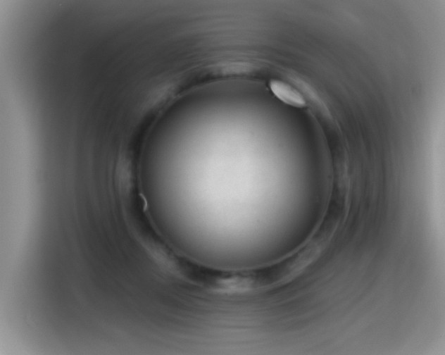 X0000115380362200911101311