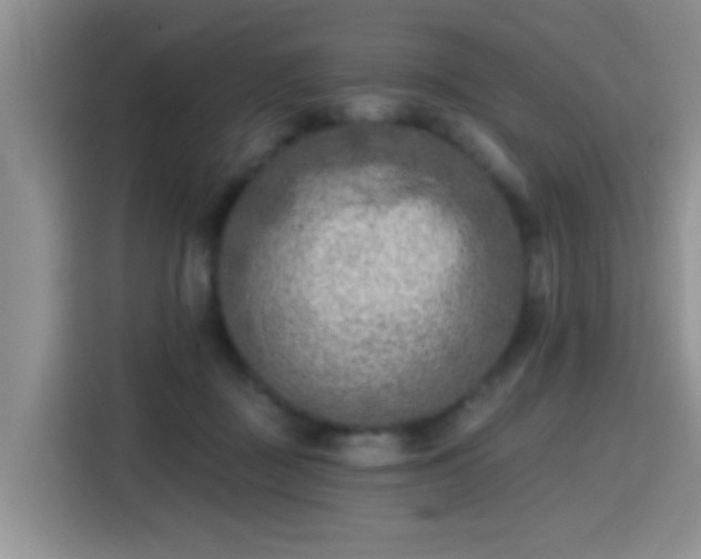 X0000115380363200911101311