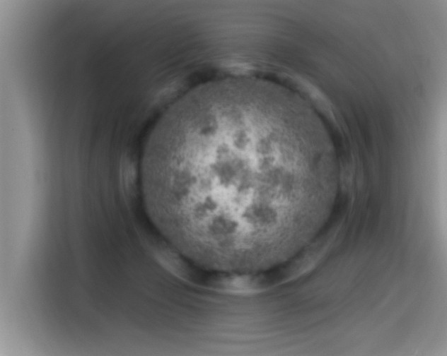 X0000115380365200911101311