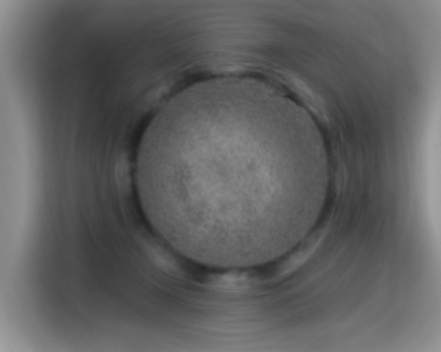 X0000115380366200911101311