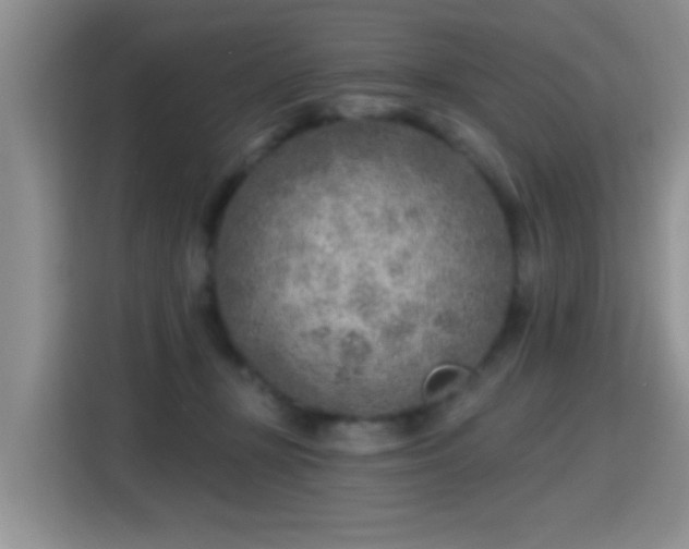 X0000115380367200911101311