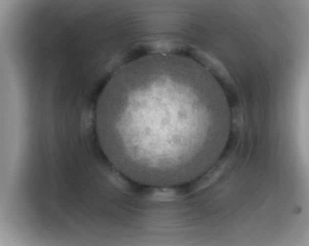 X0000115380369200911101311