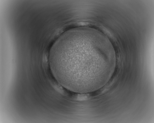 X0000115380373200911101311