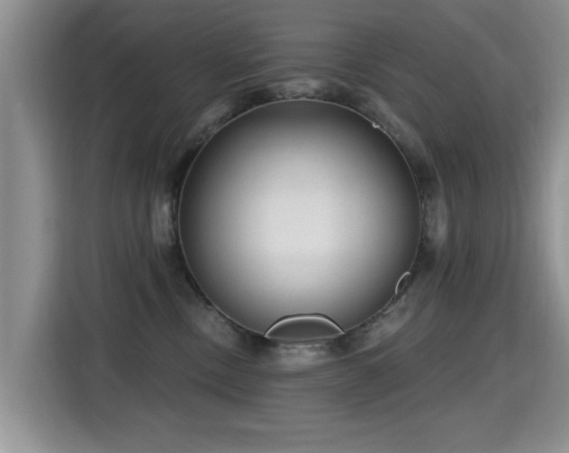 X0000115380378200911101311