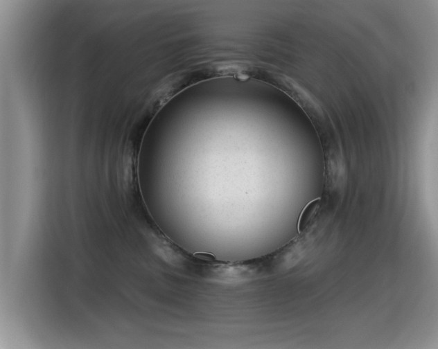 X0000115380379200911101311