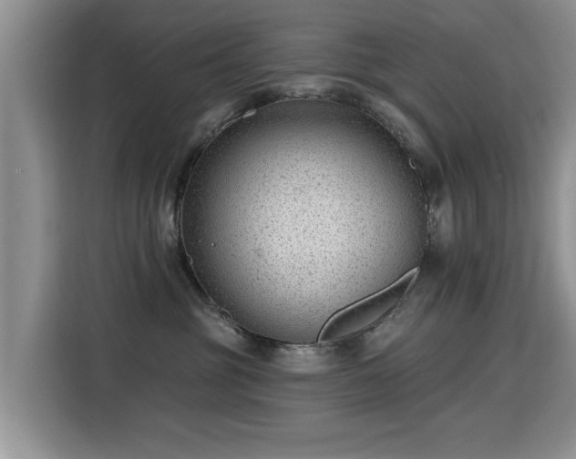 X0000115380381200911101311