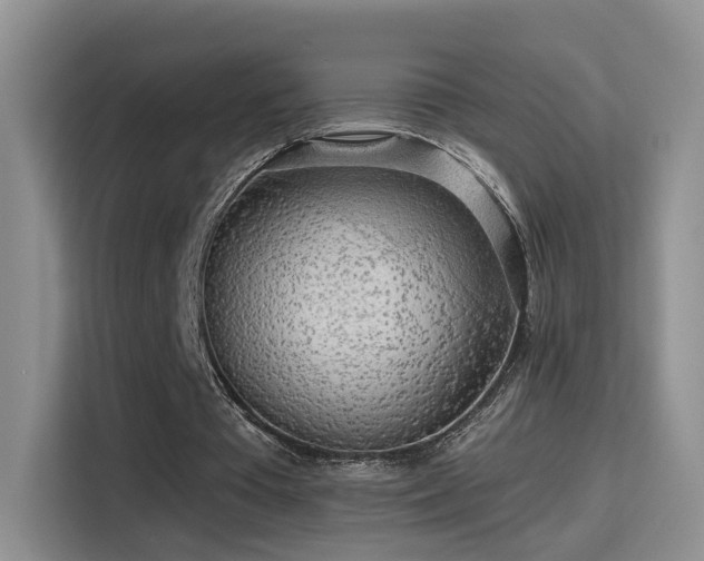 X0000115380385200911101311