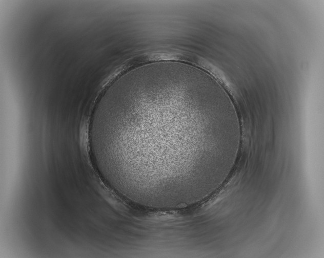 X0000115380386200911101311