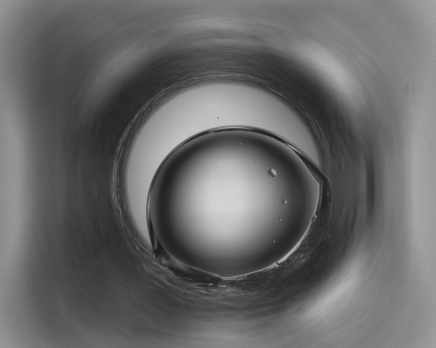 X0000115380387200911101311