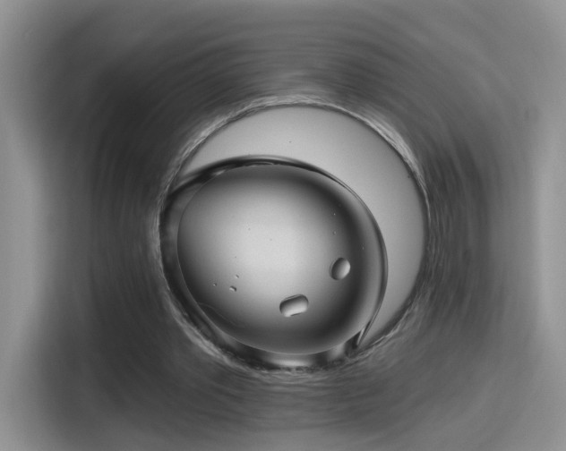 X0000115380389200911101310