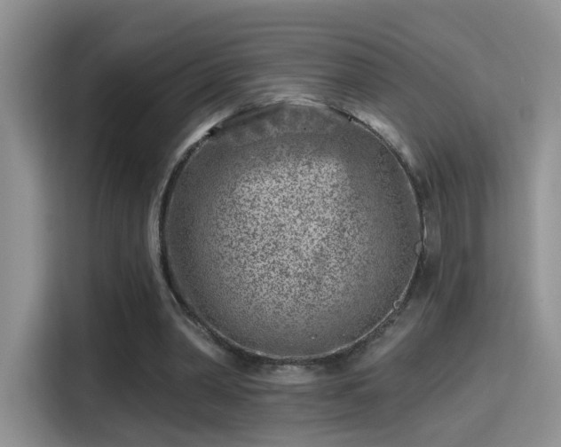 X0000115380390200911101310