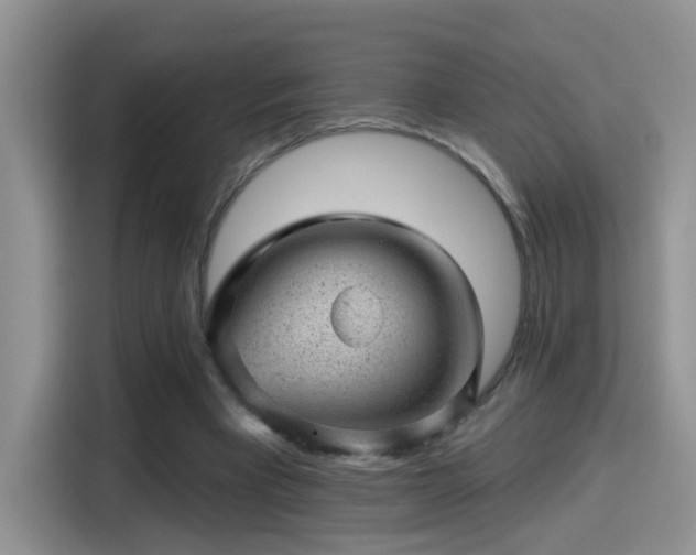 X0000115380393200911101310
