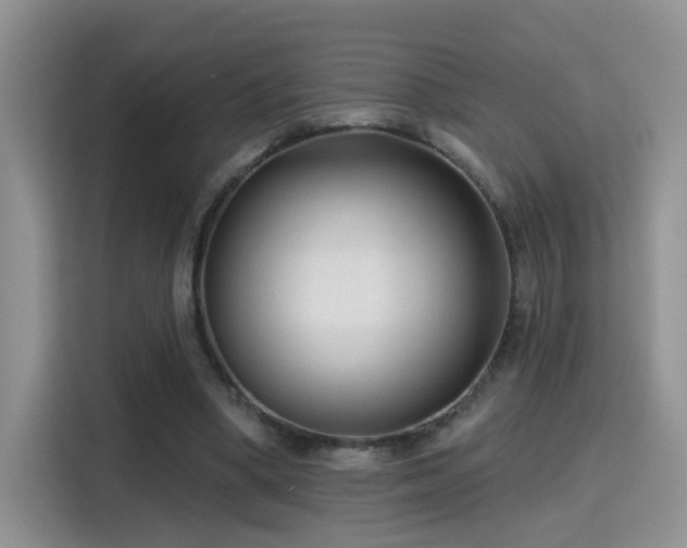 X0000115380394200911101310