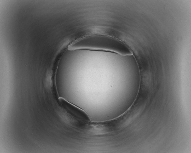 X0000115380395200911101310