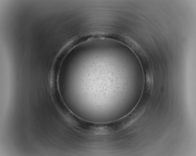 X0000115380396200911101310