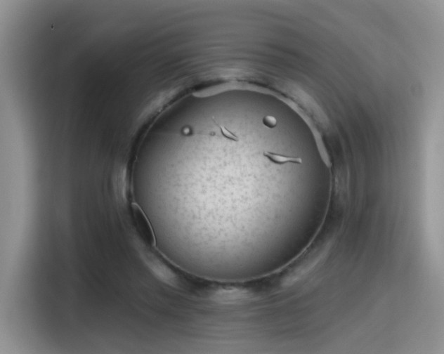 X0000115380397200911101310