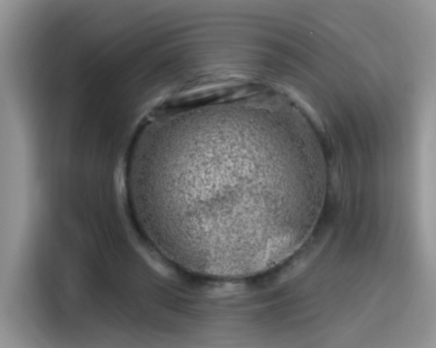 X0000115380398200911101310