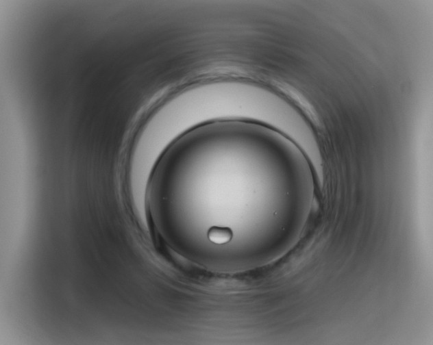 X0000115380399200911101310
