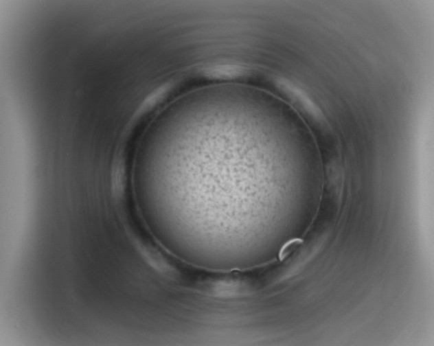X0000115380400200911101310