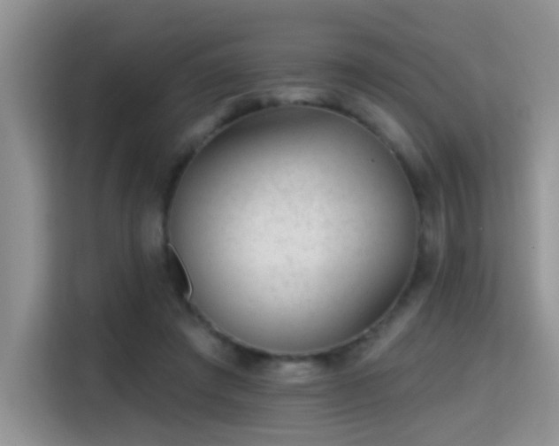 X0000115380401200911101310
