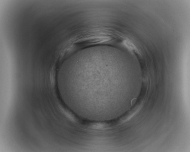 X0000115380402200911101310