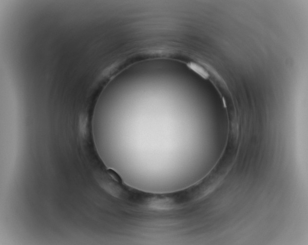 X0000115380403200911101310