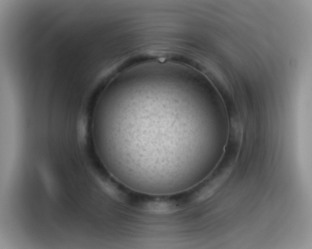 X0000115380404200911101310