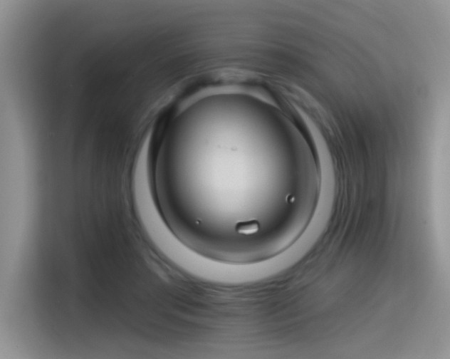 X0000115380405200911101310