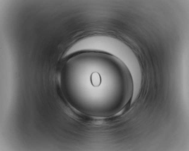 X0000115380409200911101310