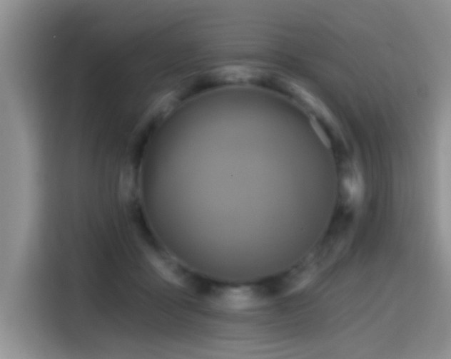 X0000115380411200911101310