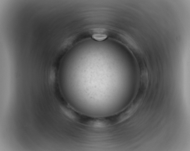 X0000115380412200911101310